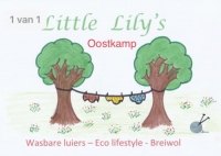 Little Lily’s